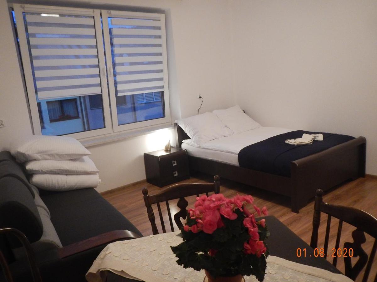 Apartament Providentia Zakopane Witkiewicza 3 المظهر الخارجي الصورة