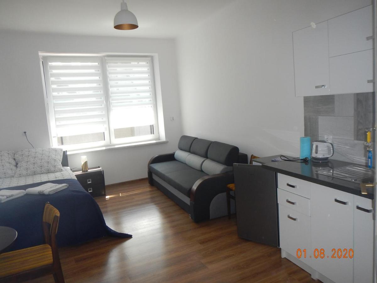 Apartament Providentia Zakopane Witkiewicza 3 المظهر الخارجي الصورة