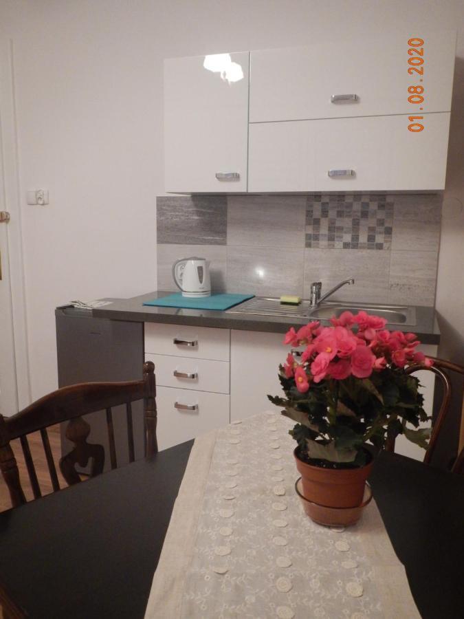 Apartament Providentia Zakopane Witkiewicza 3 المظهر الخارجي الصورة