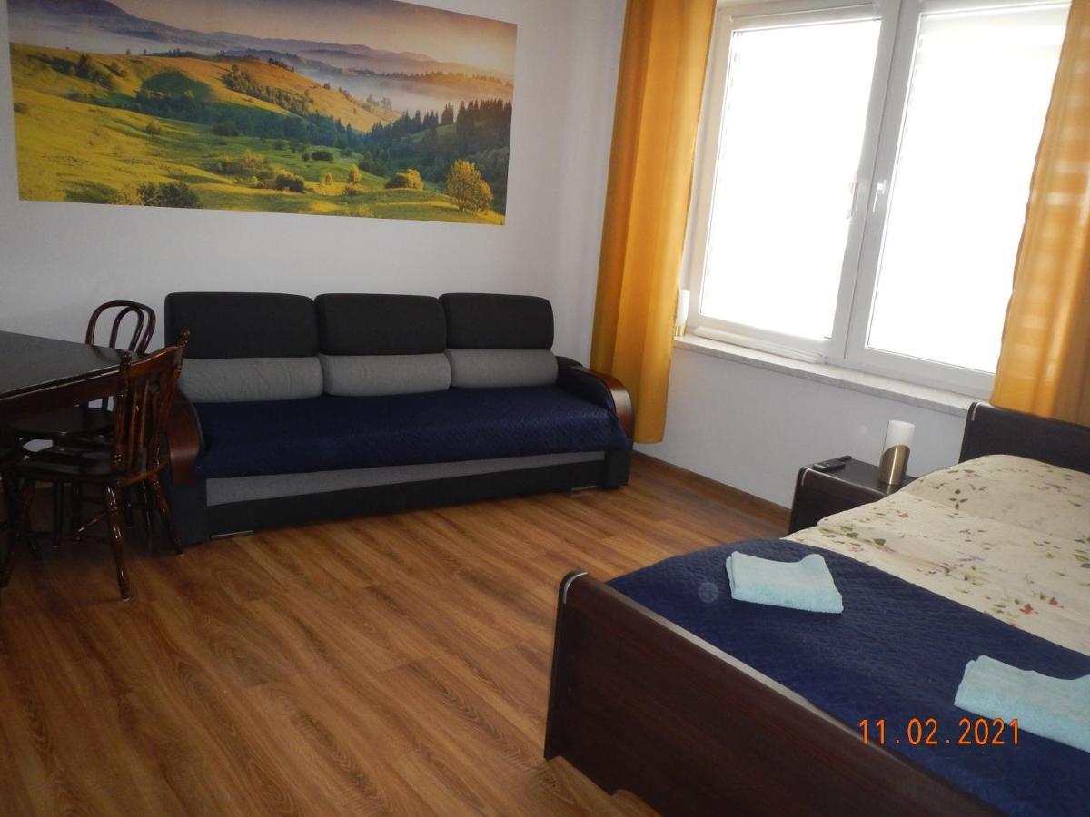 Apartament Providentia Zakopane Witkiewicza 3 المظهر الخارجي الصورة