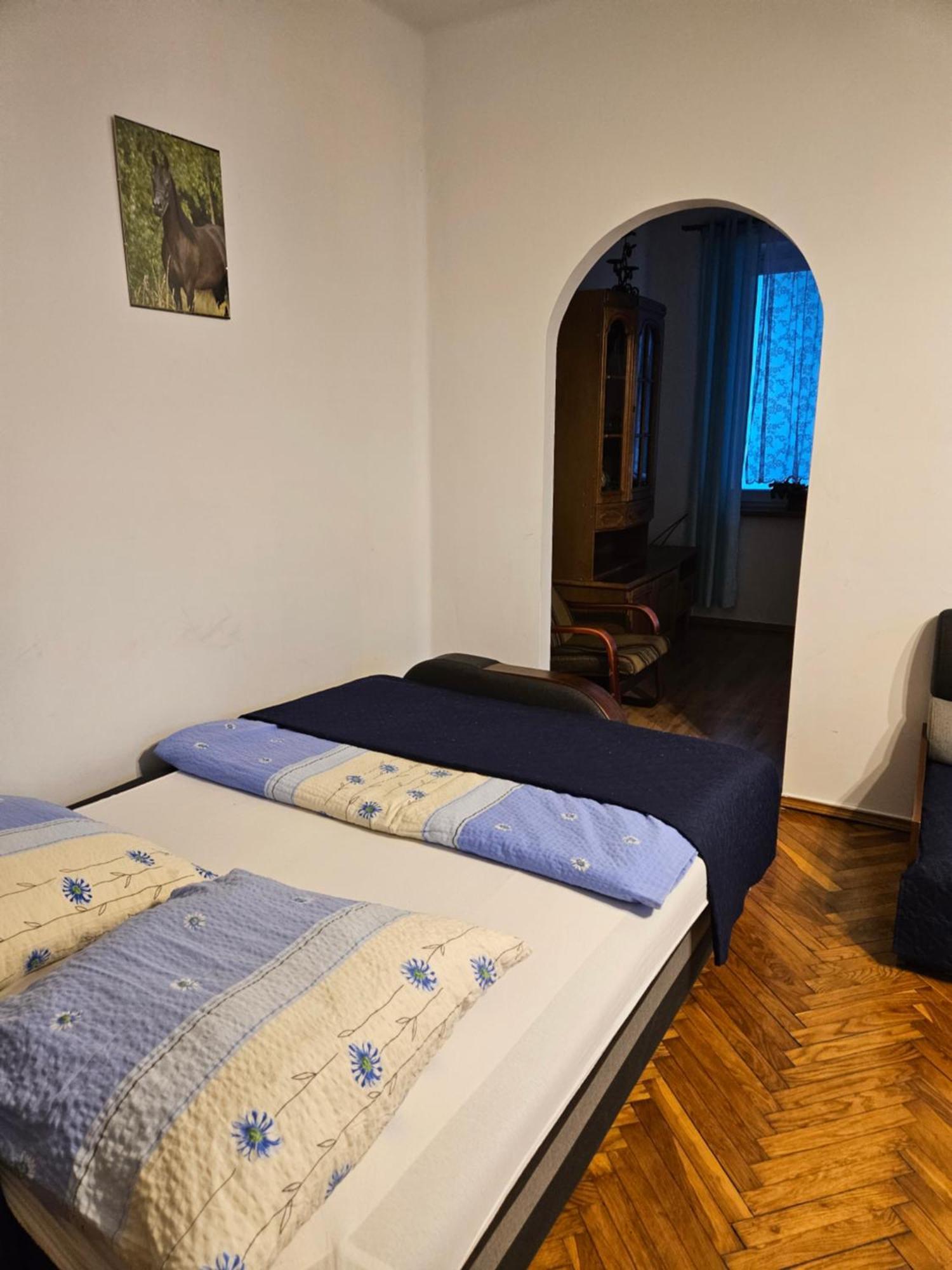 Apartament Providentia Zakopane Witkiewicza 3 المظهر الخارجي الصورة